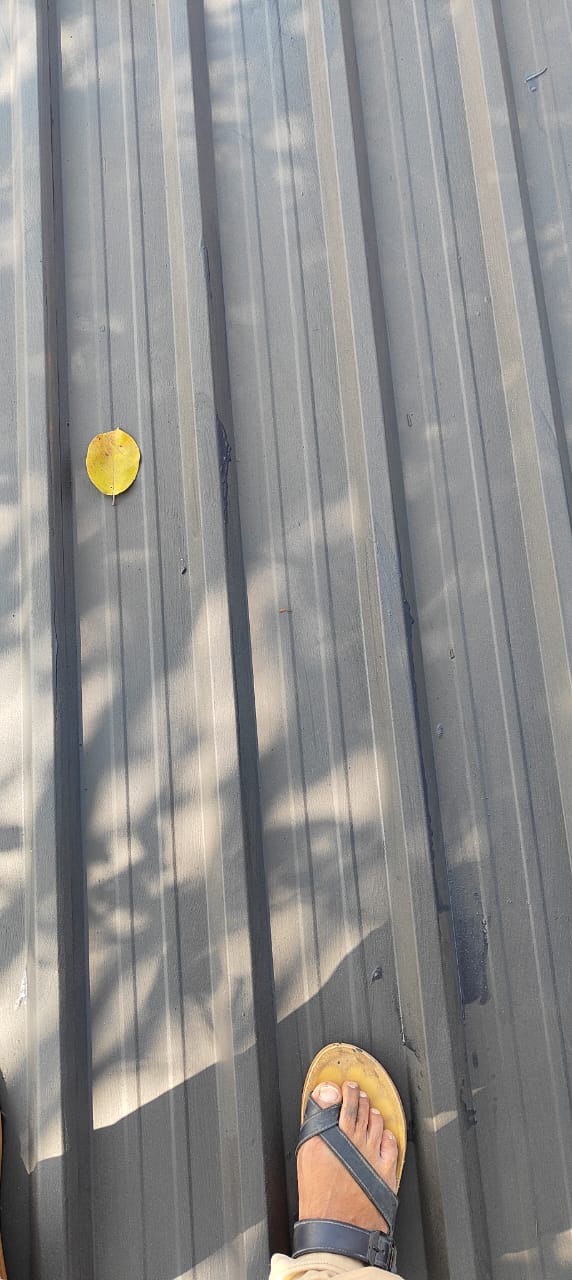 IQsolv SeelanShield™